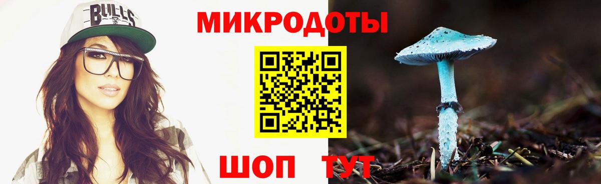 Псилоцибиновые грибы мухоморы Спасск-Дальний